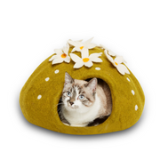 Cat Cave, Cactus